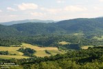 Wieś Polana jest położona w dolinach potoków: Czarnego (na zdjęciu) i Głuchego Wieś Polana jest położona w dolinach potoków: Czarnego (na zdjęciu) i Głuchego