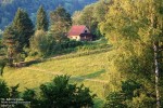 Najwięcej słońca jest w Kolibie po południu