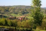 Wiosna Wiosna