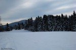 009.Przedzima w Czarnej