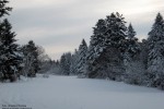 010.Przedzima w Czarnej