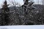 012.Przedzima w Czarnej