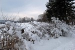 013.Przedzima w Czarnej