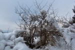 014.Przedzima w Czarnej